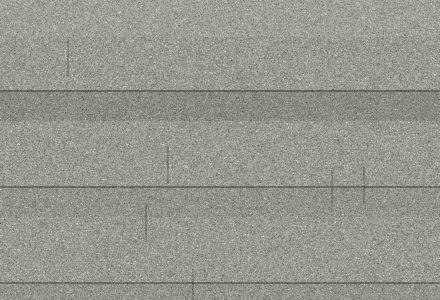Silver Birch shingle color swatch